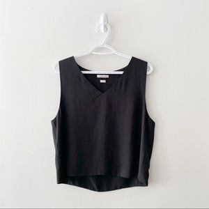 Aritzia Babaton Murphy Blouse